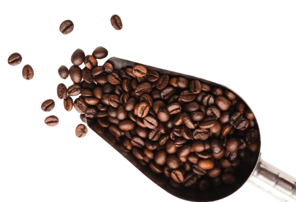 Photo of a specialty coffee beans in a coffee bean scouper. Some of the coffee beans are out of the scouper and heading towards the text area to the left.
