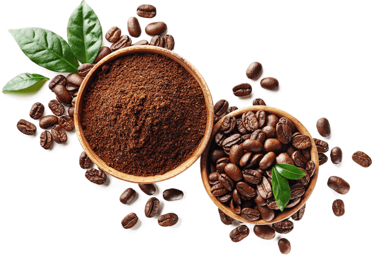 Photo of specialty coffee beans in a coffee bean scooper