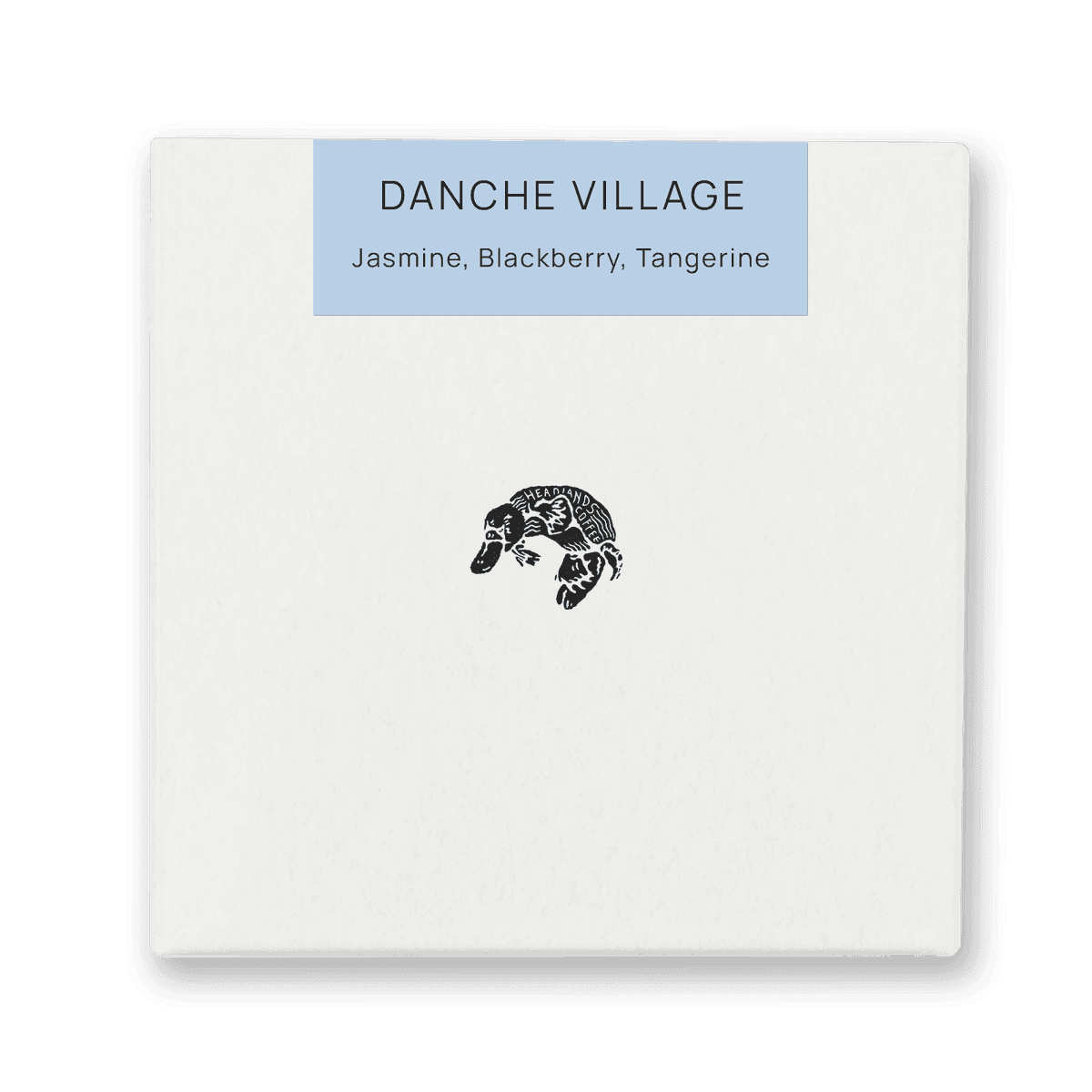 Ethiopia Danche Village Anaerobic Washed