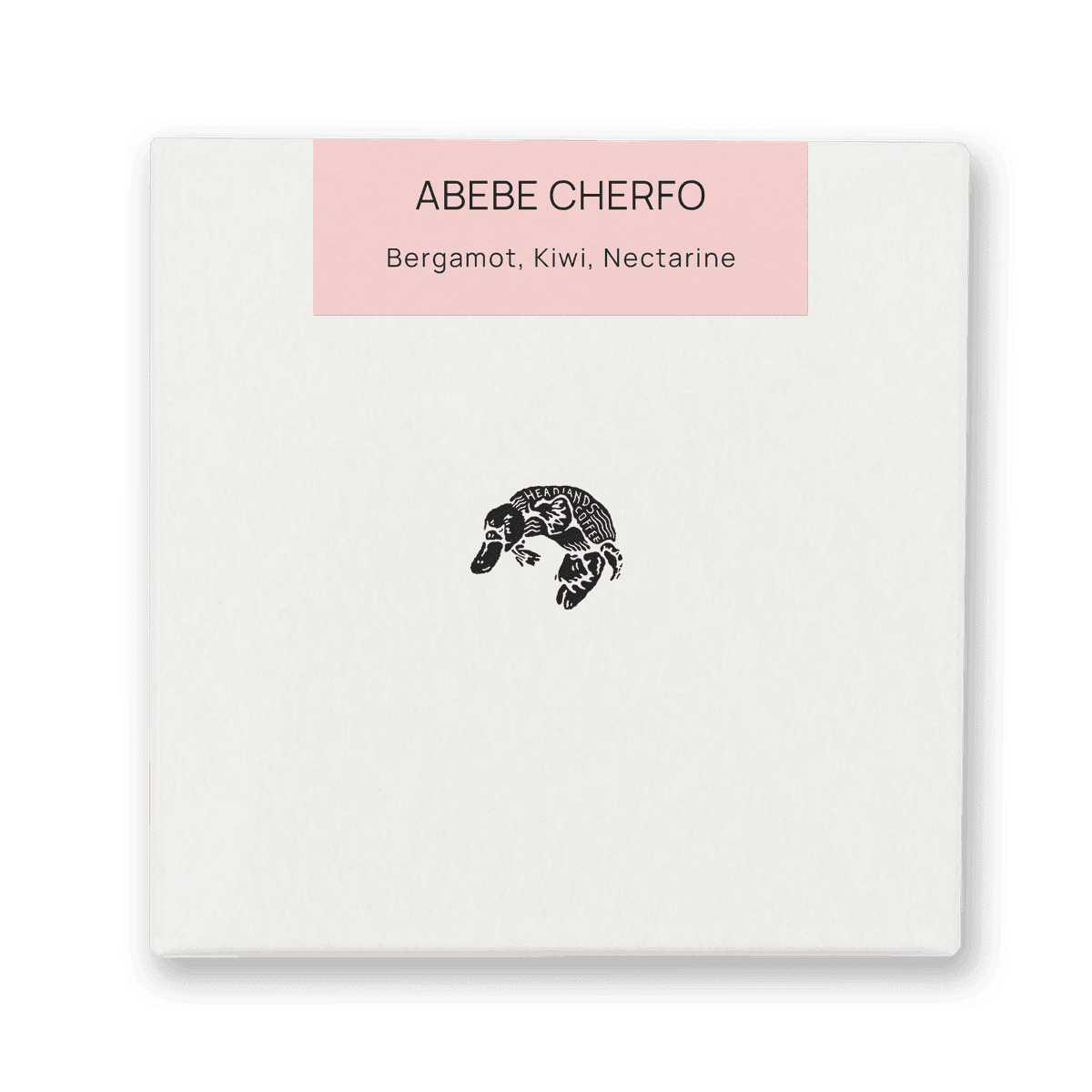 Ethiopia Abebe Cherfo Kurume Washed