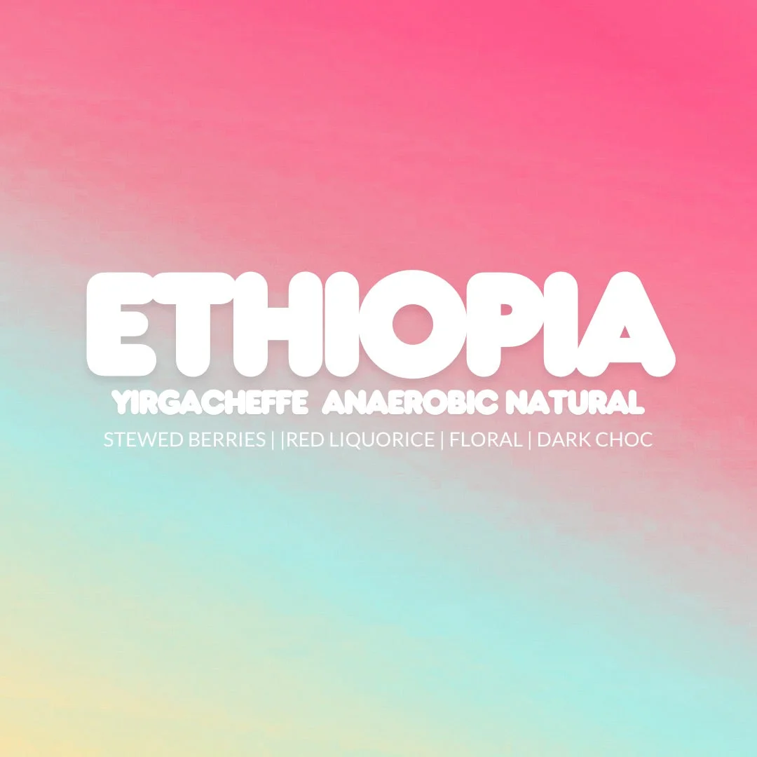Ethiopia Yirgacheffe Worka Hurea Omni Roast 250g Tin