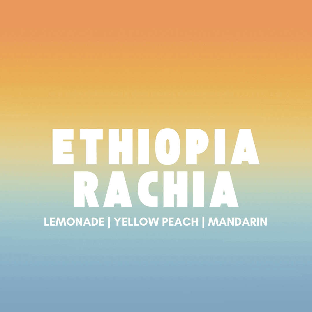Ethiopia Rachia Washed