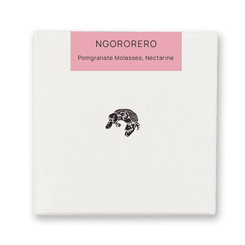 Rwanda Ngororero Red Bourbon Natural