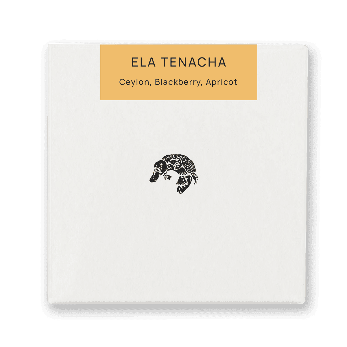 Ethiopia Ela Tenacha Kurume Natural