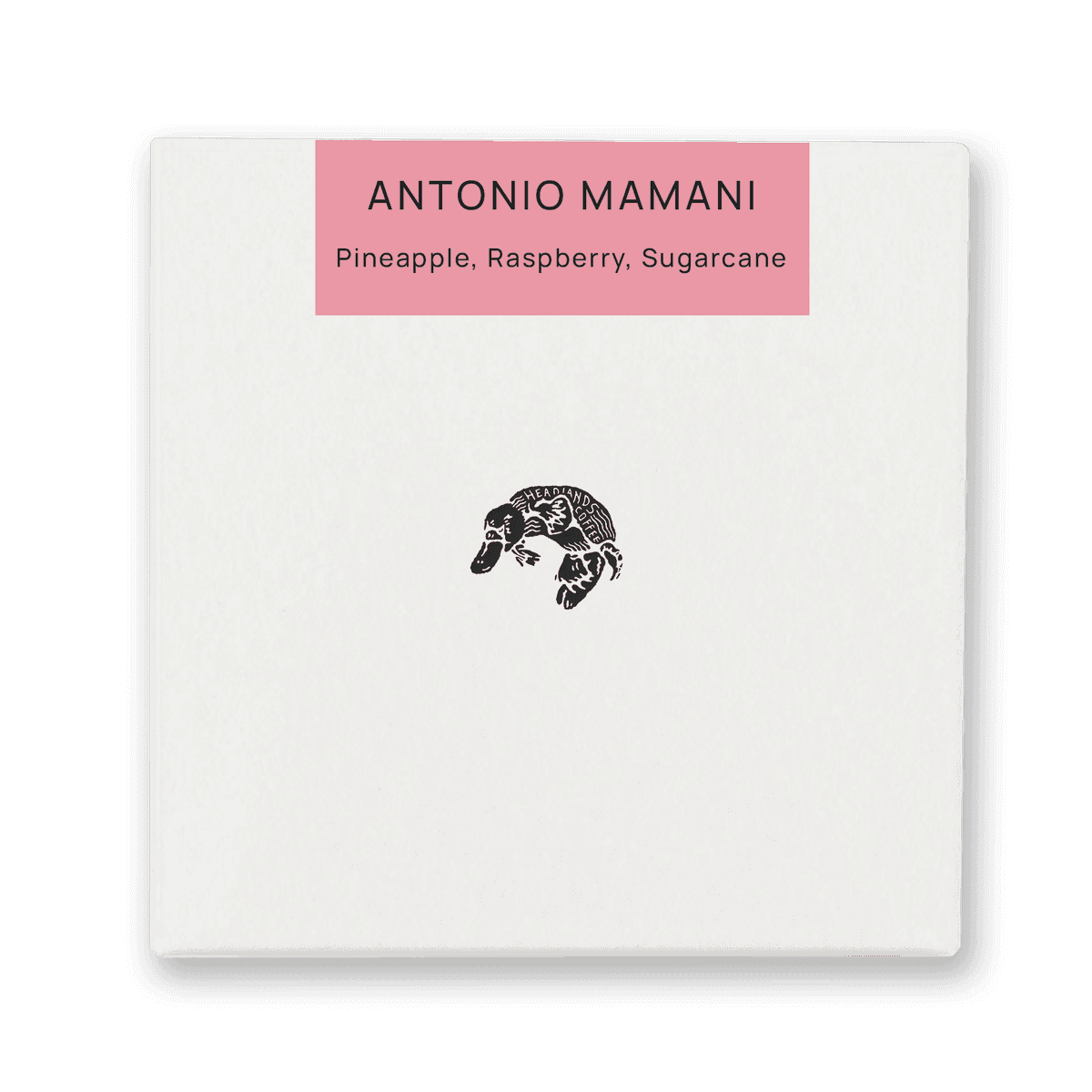 Bolivia Antonio Mamani Pacamara Natural