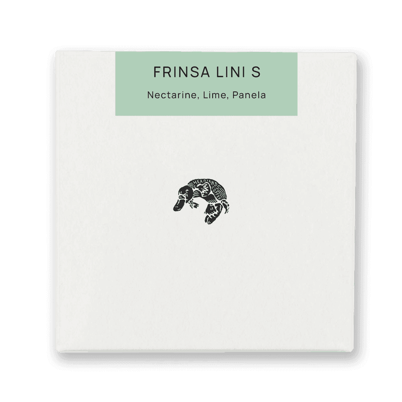 Indonesia Frinsa Lini S Washed
