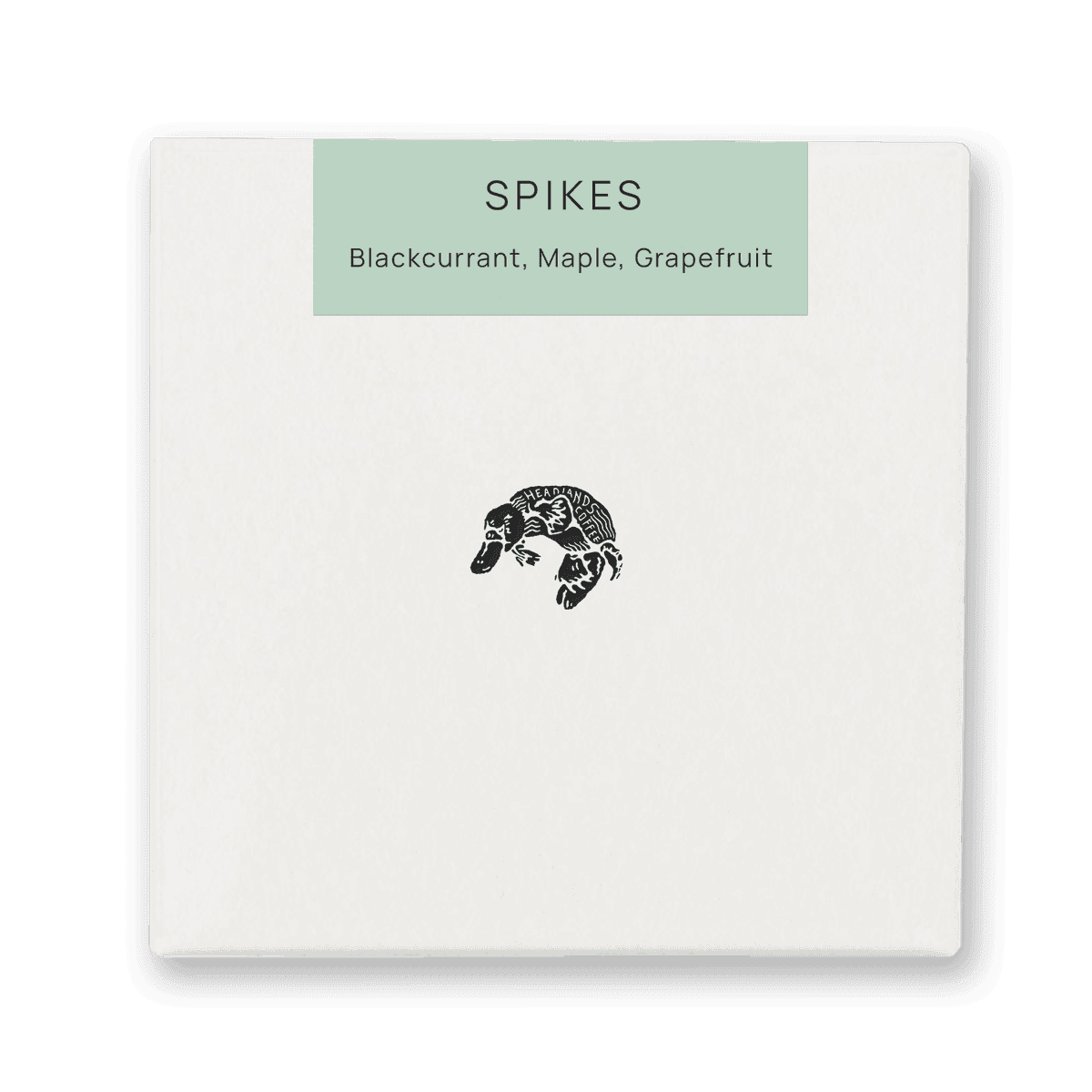 Kenya Spikes Estate SL-28 Washed