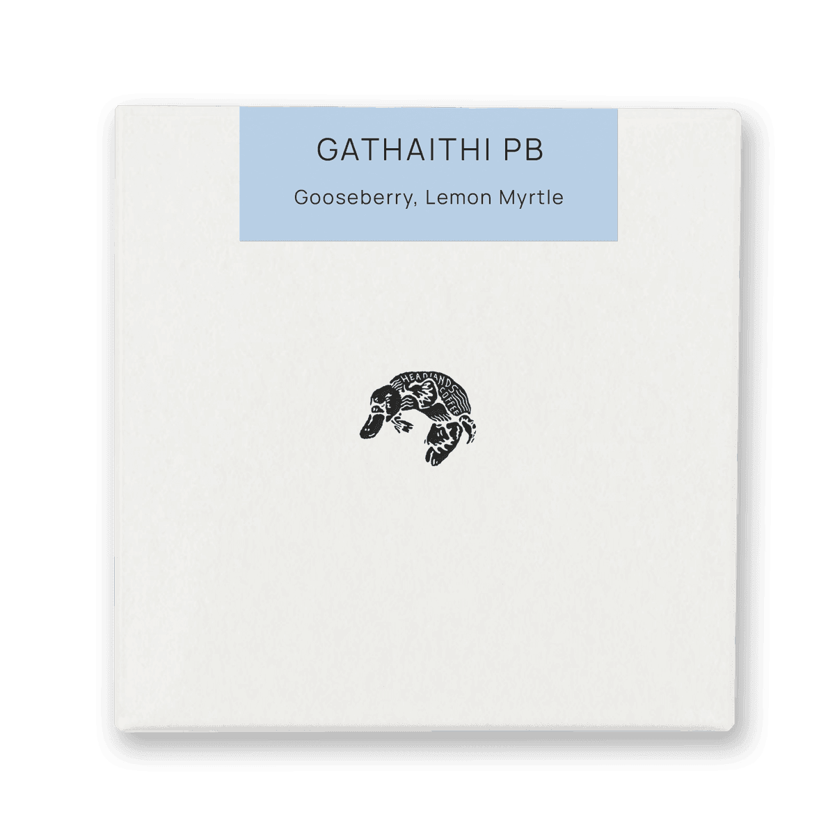 Kenya Gathaithi PB Washed