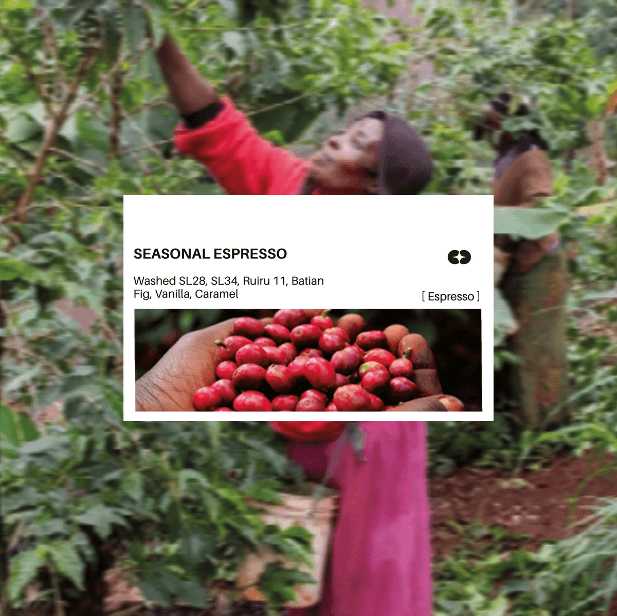 SEASONAL ESPRESSO